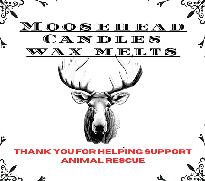 Moosehead candles Warm Sugar Cookie Wax Melts – 4 Pack Bakery Scented Soy Wax Cubes | Sweet Vanilla, Buttery Dough, Fresh Baked Aroma | Pet Safe, Long Lasting Wax Melts for Warmers, Handmade in USA