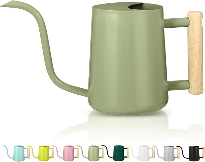 Watering Can Indoor Plants, 35oz Small Indoor Stainless Steel Metal Watering Can Modern Decorative Watering Pot with Long Spout for Indoor House Plant Bonsai Garden Flowers (Sage Green)
