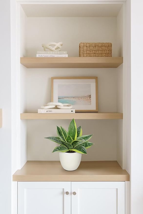 Hollyone Artificial Snake Plants 9" Faux Agave Succulent Plant Potted in White Pot Fake Sansevieria Aloe Tropical Plant for Desk Modern Office Home Bathroom Indoor Outdoor Decor