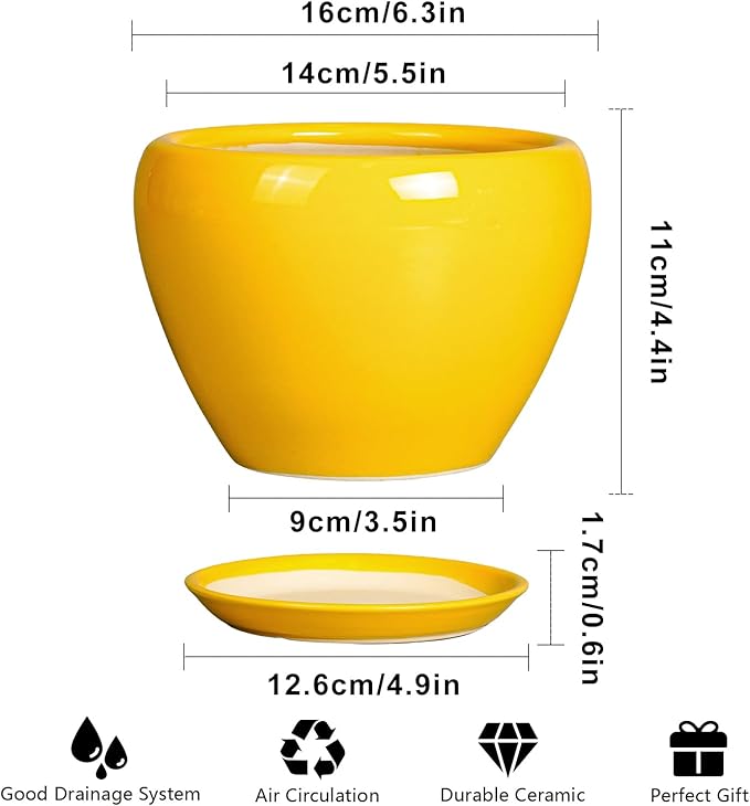 Ceramic Pot for Plants - 6 Inch Plant Pot Glaze Modern Decorative Round Planter with Drainage Hole and Saucer for Home Patio Room Office House Decor, Yellow