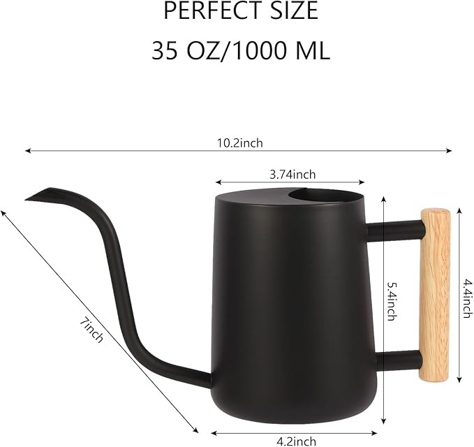 Plant Watering Can,35oz Metal Watering Can,Stainless Steel Indoor Plants with Long Curved Spout,Small Bonsai Outdoor Garden Modern Decorative(Black)