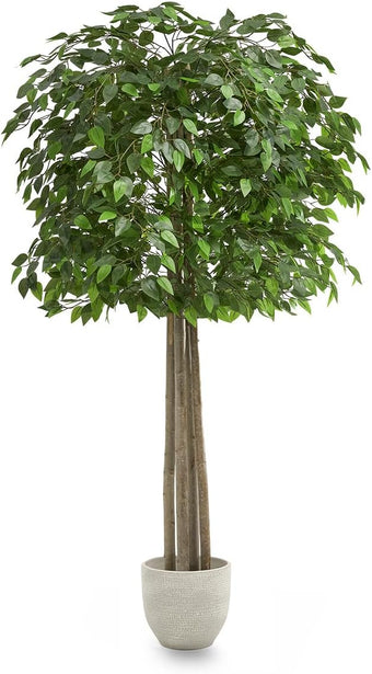 Maia Shop Decorative Artificial Plants - Artificial Bamboo Tree 6.5ft Natural Trunks, Big Artificial Plant, Home Decor, Artificial Tree (Ficus, 6ft 5in)