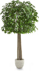 Maia Shop Decorative Artificial Plants - Artificial Bamboo Tree 6.5ft Natural Trunks, Big Artificial Plant, Home Decor, Artificial Tree (Ficus, 6ft 5in)