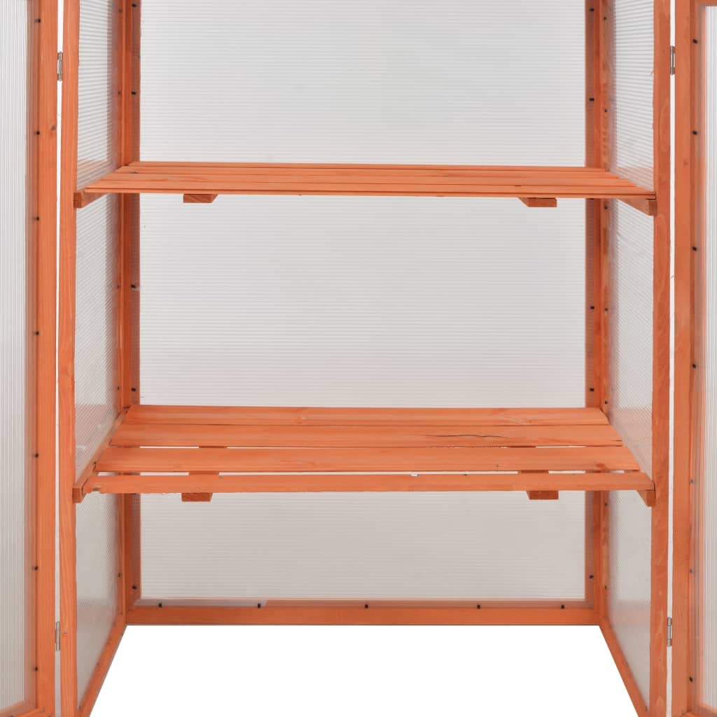 Loibinfen Wooden Portable Greenhouse with 2 Shelves and 2 Doors, Garden Mini Greenhouse Cabinet for Outdoor Indoor Use 29.5"x18.5"x42.9"