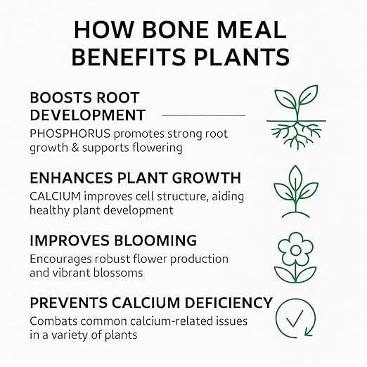 𝐁𝐄𝐒𝐓𝐒𝐄𝐋𝐋𝐄𝐑 Organic Bone Meal Fertilizer by Gardenera (4-12-0 NPK) All-Natural Plant Food Source of Nitrogen and Phosphorus for Bulbs, Gardens, Potted Plants, Trees, and Shrubs [16 OZ]