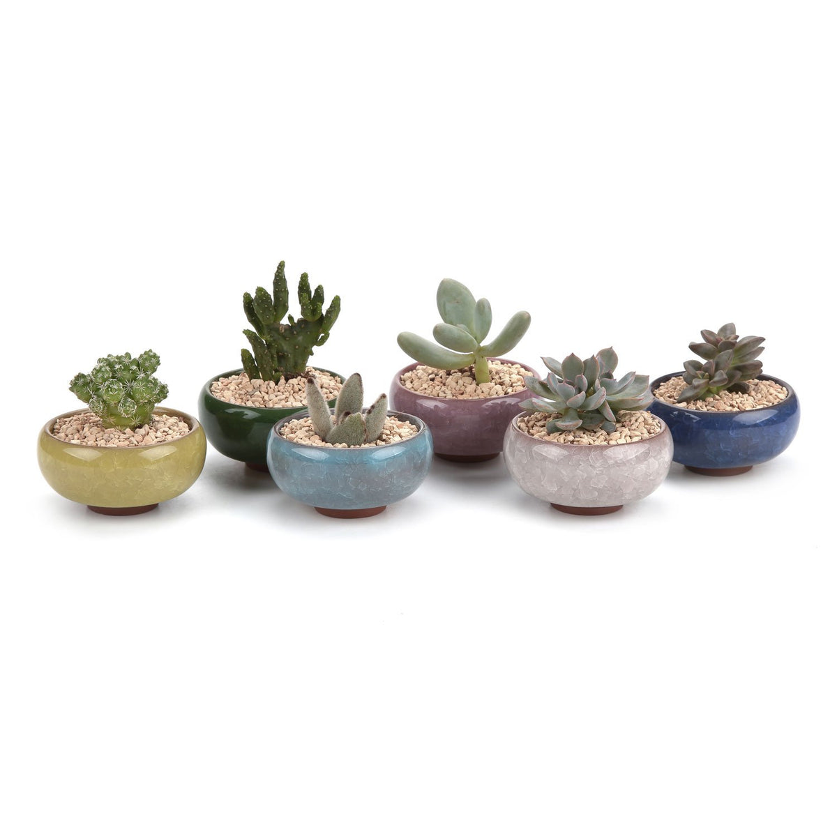 T4U Mini Succulent Pots, Small Shallow Ceramic Pots, Retro Gift Set of 6