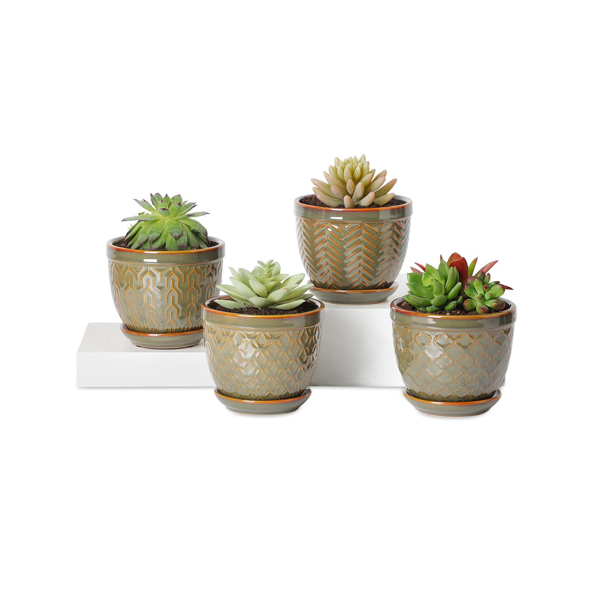 Sureasy Ceramic Plant Pots, 4.7 Inch Flower Pots for Indoor Plants, Succulent Pots with Saucer and Drainage Hole, Decorative Planter for Succulent, Cactus, Set of 4, Green