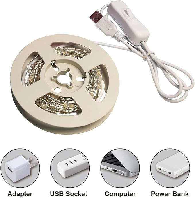 RUICHEN Silver Wire 33 Ft 100 LED USB Fairy String Lights with On/Off Switch (Warm White)