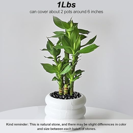 Terrarium Supplies,Virekm River Rocks, Decorative Ornamental Pebbles,Garden Landscaping Stones,Gravel Filler for Home Decoration Flower Bed Fish Tank Plants Vases Succulents