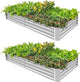 Land Guard 2 Pack 8×4×1ft Galvanized Metal Raised Garden Bed, Metal Planter Kit Box Outdoor for Deep-Rooted Vegetables, Flowers, Green and Herbs…