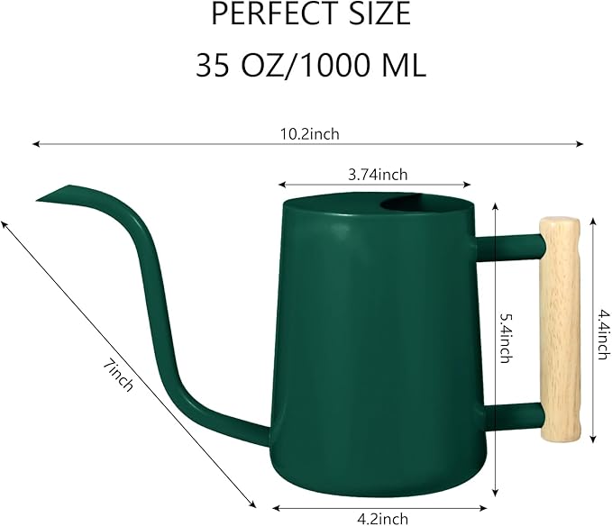 Watering Can Indoor Plants, 35oz Small Indoor Stainless Steel Metal Watering Can Modern Decorative Watering Pot with Long Spout for Indoor House Plant Bonsai Garden Flowers (Alpinegreen)