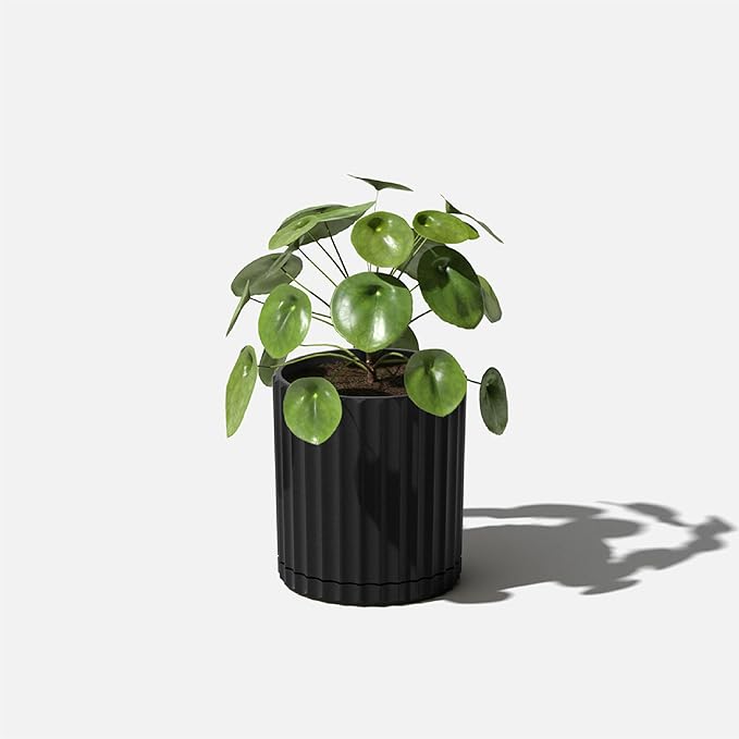 Veradek Demi Series Demi 6" Planter w/Tray, Black