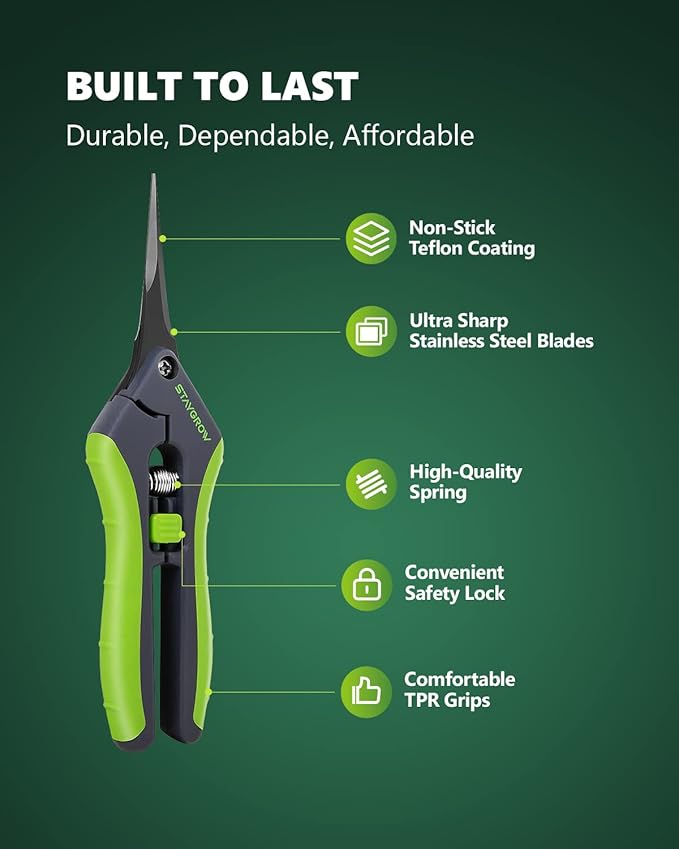 6.5" Straight Pruning Shears for Gardening, Sharp Plant Trimming Scissors for Precise Cuts, Stainless Steel Garden Scissors Bonsai Clippers (1-Pack)
