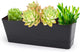 GREANER 12x3.8 Inch Herb Planters, 1 Pack Rectangle Window Boxes with Tray, Indoor Succulent Cactus Mint Plastic Pot for Windowsill, Balcony, Office, Outdoor Garden - Black