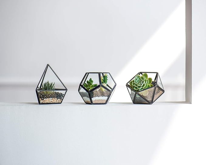 Mkono 4 Inches Mini Glass Geometric Terrarium Container Set of 3 Modern Tabletop Planter Shelves Decor Display Centerpiece for Succulent Miniature Fairy Garden Air Plant, Black(Plant Not Included)