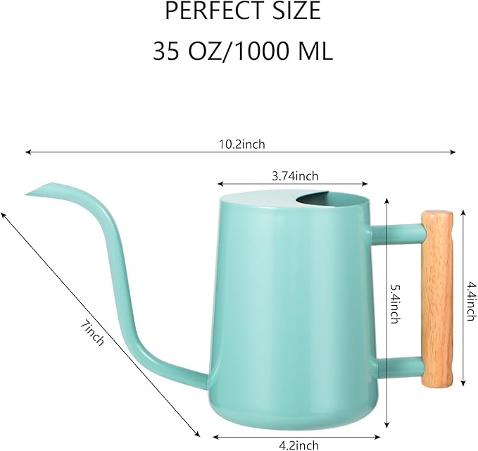 Watering Can Indoor Plants, 35oz Small Indoor Stainless Steel Metal Watering Can Modern Decorative Watering Pot with Long Spout for Indoor House Plant Bonsai Outdoor Garden Flowers -Green