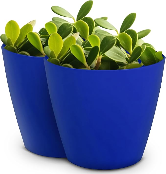 Headwind Charlevoix Planters– 10" 2 Pack Plastic Plant Pot in Sapphire Blue, Indoor & Outdoor Pots for Plants with Drillable Drainage Hole, Decorative Plant Pot, Flower Pots Outdoor for Garden