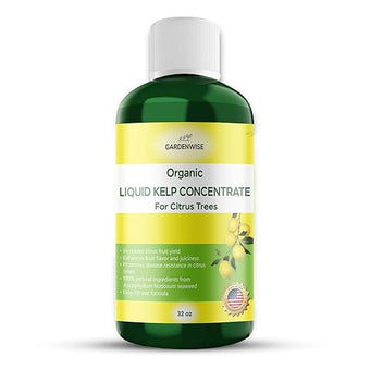 Organic Premium Kelp Seaweed Fertilizer: All-in-One Citrus Tree Fertilizer for Meyer Lemon, Lime, and Other Fruiting Trees - Liquid Plant Food for Potted & Outdoor Citrus Trees (32 OZ)