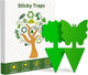 Fruit Fly Traps, 100 Pack Green Sticky Traps, Fungus Gnat Traps, Plant Fly Stickers for Indoor and Outdoor Use Protect The Plant