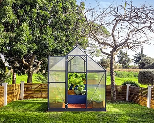 Palram - Canopia Mythos 6' x 8' Polycarbonate Aluminum Greenhouse, Gray