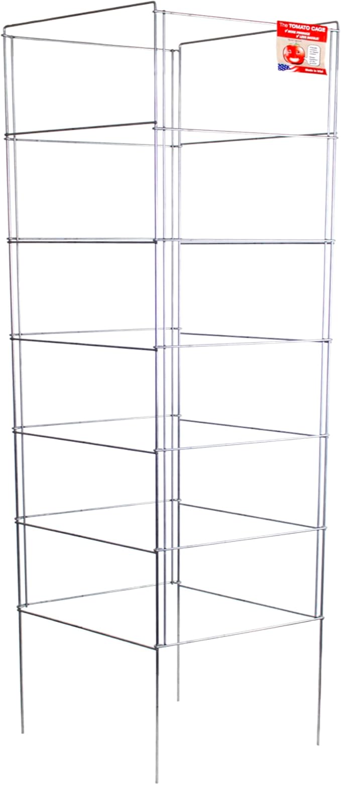 Cedar Ridge Square Foldable Tomato Cages - Made in USA Heavy Duty Plant Support for Vegetable Garden, Vegetables, and Flowers - Stakes and Trellis for Climbing Plants (13x56) 3-Pack