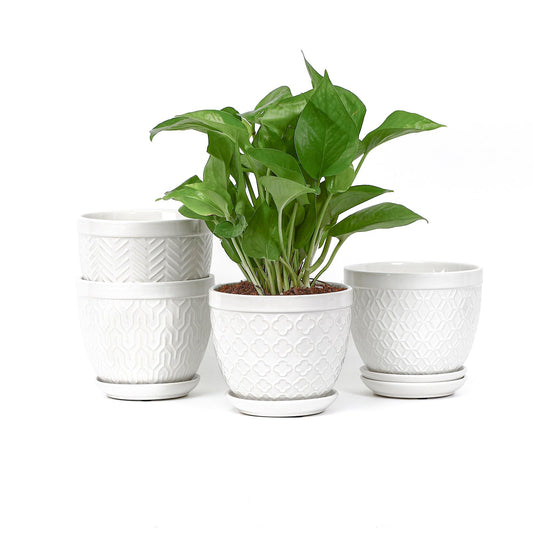 Sureasy Ceramic Indoor Plant Pots - 5.6 Inch Flower Pots for Plants with Drainage Hole and Saucer, Embossed Planter for Succulents, Orchid, Cactus, Indoor Home Decor, Set of 4, White