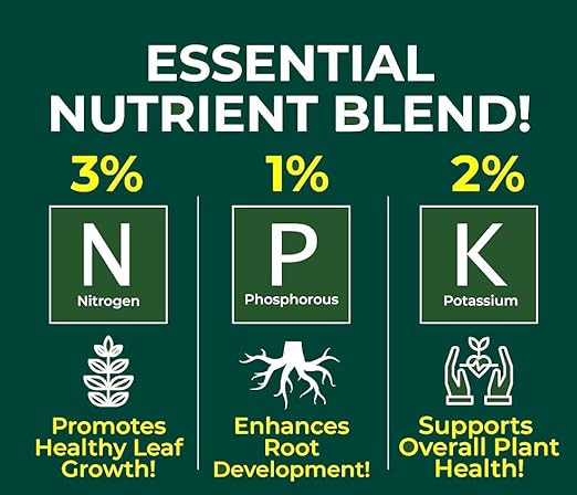 Gardenera Proffesional Thai Constellation Spray Fertilizer Mist for Home Gardening | 3-1-2 Gentle Blend Mist for Healthy Leaves & Growth | Essential Nutrients for Thai Constellations - 8oz