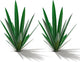 Homight Metal Tequila Country Sculpture DIY Tequila Plant Home Decor Country Tequila Garden Ornament Indooutdoor Statuette Patio Lawn Patio Stake Decoration Gift to The Garden…