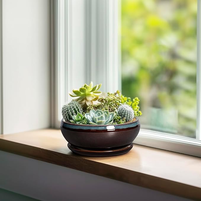 SQOWL Succulent Pots with Drainage Hole - 6 Inch Ceramic Bonsai Tree Pots, Shallow Planter with Saucer, Round Plant Pot for Succulent Indoor Outdoor, Porch Decor, Gifts for Plant Lover, Blue-Brown