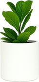 Fox & Fern Large 12 Inch Plant Pot with Hidden Saucer — Premium Lightweight Fiberstone Matte White Self Watering Planter with Seamless Saucer; Indoor & Outdoor Use; Weather Resistant & UV Resistant