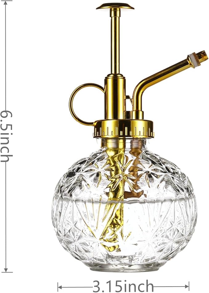 Glass Plant Mister Spray Bottle, 6.5" Clear Glass Water Spray Bottle with Gold Top Pump Small Watering Can, Small Plant Sprayer Mister for Indoor Outdoor House(Clear+Gold E)