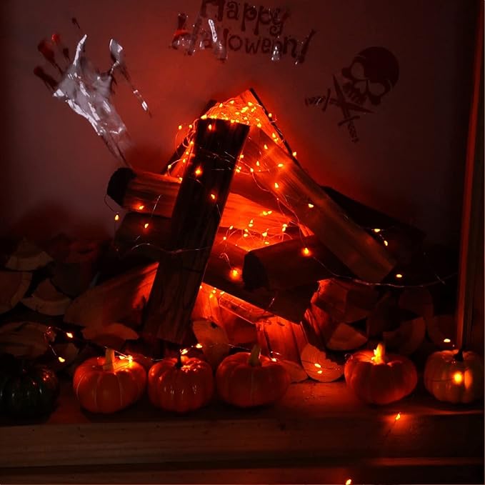 RUICHEN Silver Wire 66 Ft 200 LED USB Fairy String Lights with On/Off Switch (Orange)