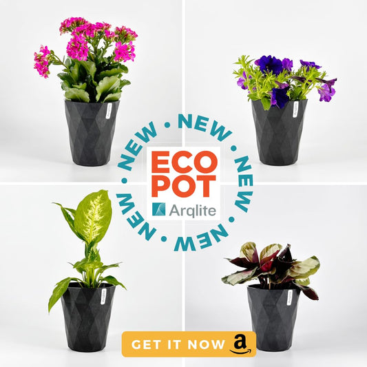 Arqlite Smart Gravel Mini | Plant Drainage for Healthy Roots - Eco-Friendly | Small Pots & Decoration | for Cactus, Succulents, Orchids | Lightweight & Clean (1-Gal Mini Size)
