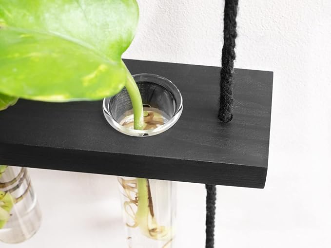 Mkono 3 Tiered Wall Hanging Plant Terrarium with Wooden Stand Mini Test Tube Flower Vase Glass Planter for Hydroponic Plant Cutting Home Garden Office Decor Gift