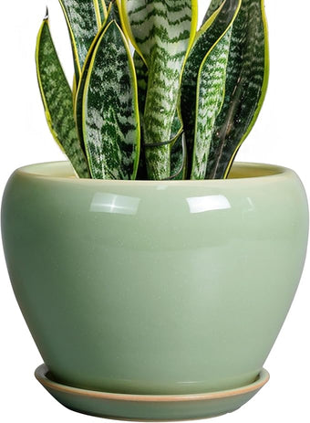8 Inch Plant Pot - Ceramic Planter for Outdoor Plants Indoor Plant Pot with Drainage Hole and Saucer Mid-Century Round Planter Flower Pot for House Garden Green