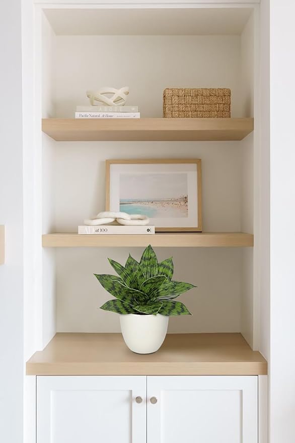Hollyone Artificial Snake Plants 9" Faux Agave Succulent Plant Potted in White Pot Fake Sansevieria Aloe Tropical Plant for Desk Modern Office Home Bathroom Indoor Outdoor Decor