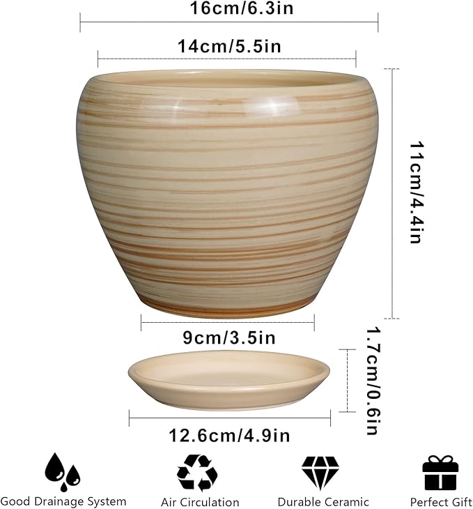 6 Inch Plant Pot Ceramic - Decorative Planter for Indoor Plants Succulent Pot with Drainage Hole and Saucer Round Planter Outdoor Flower Pot for House Patio Yellow