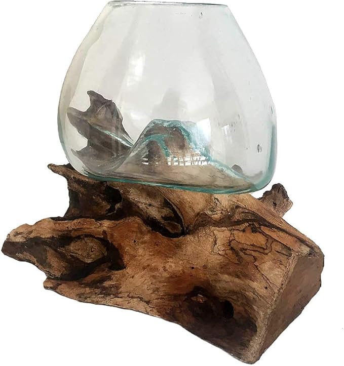 OMA Molten Glass on Driftwood – Hand Blown Vase, Terrarium, or Planter Centerpiece for Coastal & Boho Home Décor (7" – 9" High)