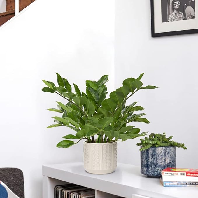 Briful Faux Plants Indoor 17" Artificial ZZ Plants in Ceramic Pot Fake Potted Zamioculcas Silk Plants for Home Table Decor Bedroom Aesthetic (1Pack)