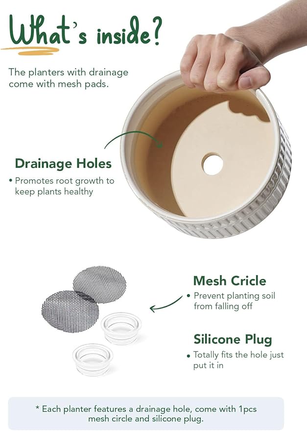 LE TAUCI Succulent Planters, 6.5+8 Inch Ceramic Indoor Plant Pot with Drainage Hole, Shallow Round Succulent Pots, Set of 2, Reactive Glaze White