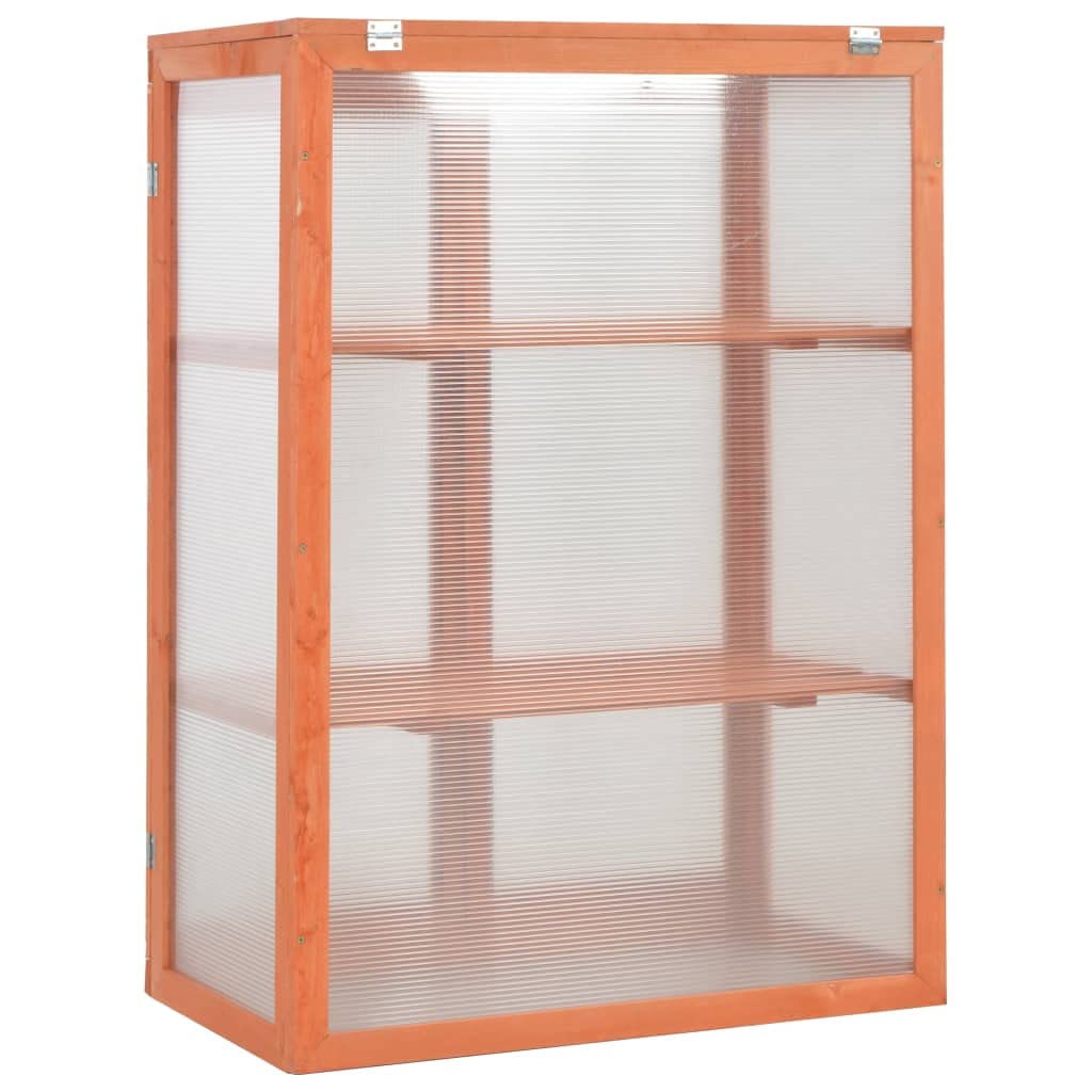 Loibinfen Wooden Portable Greenhouse with 2 Shelves and 2 Doors, Garden Mini Greenhouse Cabinet for Outdoor Indoor Use 29.5"x18.5"x42.9"