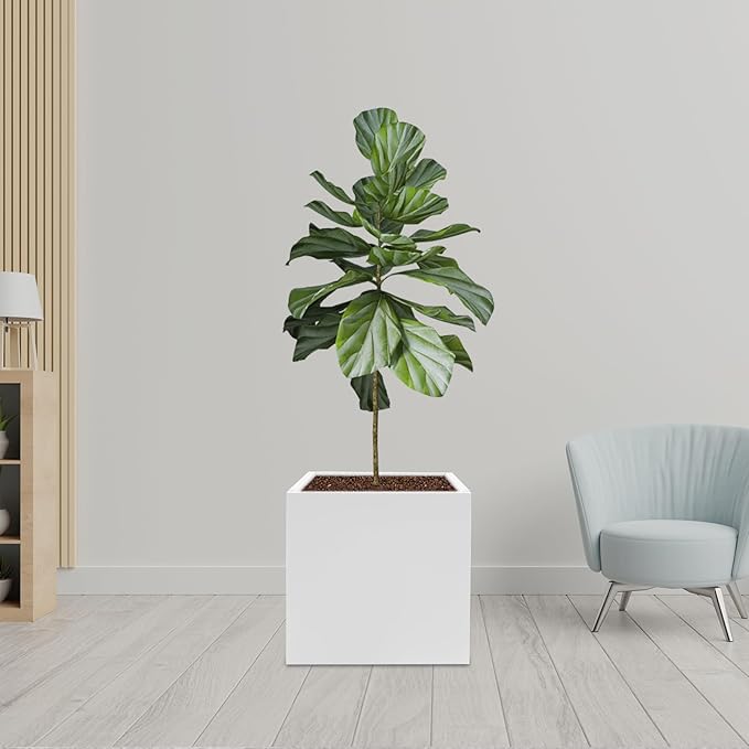 DYNAMI Square Planter Box,20x20x20in Steel Metal Planters Large Cube Plant Pot for Outdoors,Modern Heavy Duty Flower Pot for Patio, Deck, Yard, Garden (White, 20in)