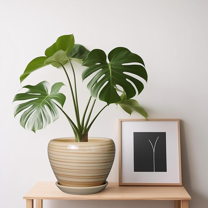 6 Inch Plant Pot Ceramic - Decorative Planter for Indoor Plants Succulent Pot with Drainage Hole and Saucer Round Planter Outdoor Flower Pot for House Patio Yellow