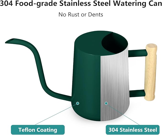 Watering Can Indoor Plants, 35oz Small Indoor Stainless Steel Metal Watering Can Modern Decorative Watering Pot with Long Spout for Indoor House Plant Bonsai Garden Flowers (Alpinegreen)