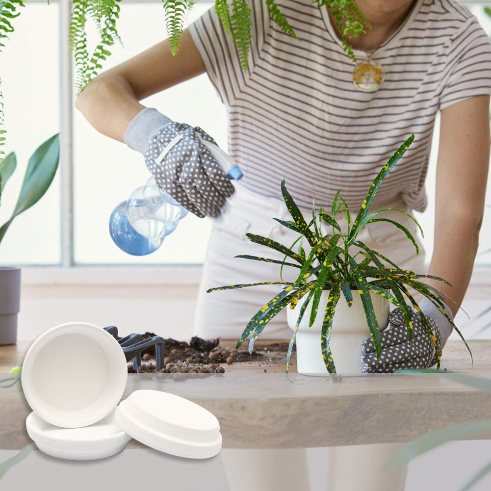 FCFKUK 24pcs Terra Cotta Saucer, 3.2-inch Small Mini Clay Pots Tray, Suitable for 3inch, 2.5inch, 2inch Succulents Nursery Pots(White)
