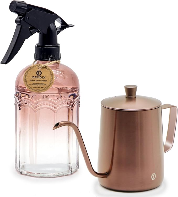 Watering Can for Indoor Plants Long Spout Metal Stainless Steel 21 oz/600 ml Small Watering Can with 14 oz/400ml Glass Plant Mister Spray Bottle for Plants Bonsai