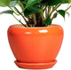 Ceramic Plant Pot 6 Inch - Ceramic Planter for Indoor Plants Outdoor, Glaze Round Modern Flower Pot with Drainage Hole and Saucer, Gift for Plant Lover, Home Garden Room Decor, Orange