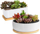 ARVINKEY White Ceramic Succulent Plant Pots, 1 Rectangular Flower Pot + 1 Round Planter, Set of 2 Small Cactus Container, Bonsai Pots, Succulent Pots with Drainage Hole& Bamboo Tray (No Plant)