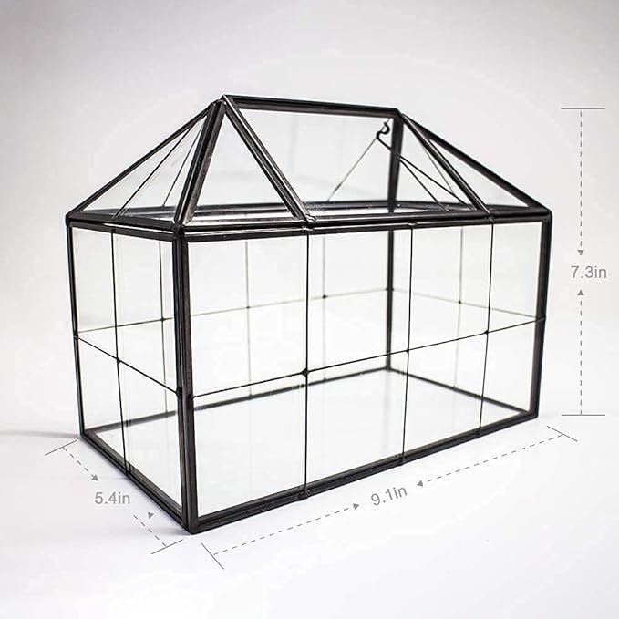 Ferrisland Glass Terrarium Greenhouse House Shape Display Box Planter for Succulents Plant Terrarium Container Mordern Tabletop Decor Gardern DIY Kit