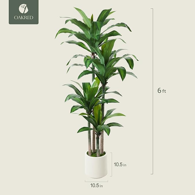 OAKRED Artificial Dracaena Tree 6ft, Tall Fake Dracaena Plants with White Planter, Faux Dragon Tree Indoor Floor Plant for Home Decor Office Living Room Porch Housewarming, 1Pcs